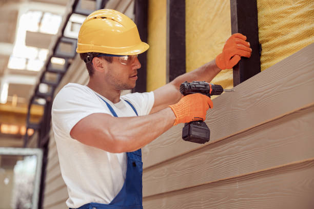 Best Siding Replacement  in Phelan, CA